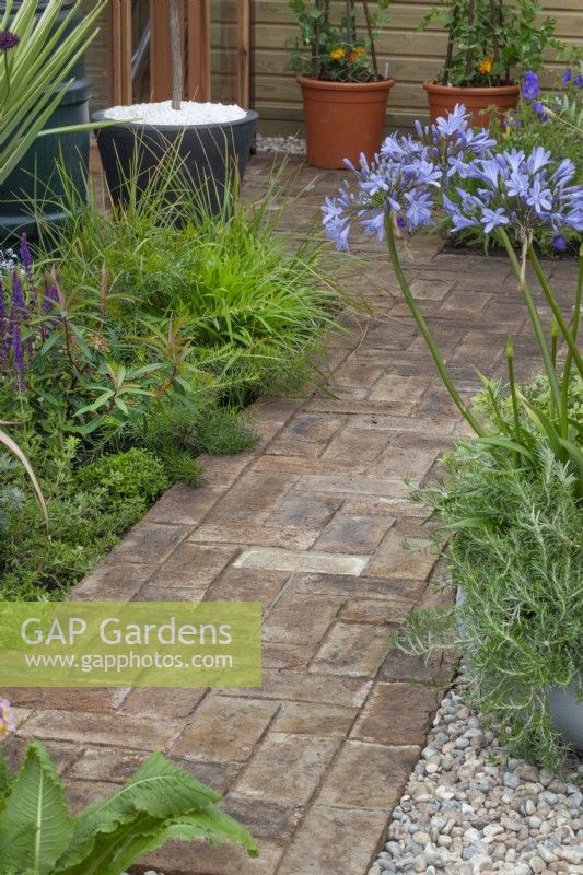 Brick path bordered by agapanthus and mixed perennials in the 'Greener Pastures' garden at BBC Gardener's World Live 2015, June