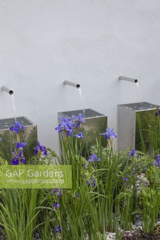 Three chrome water spouts cascading into metal containers, bordered by purple iris and ferns in the 'Sociability' garden at BBC Gardener's World Live 2015, June