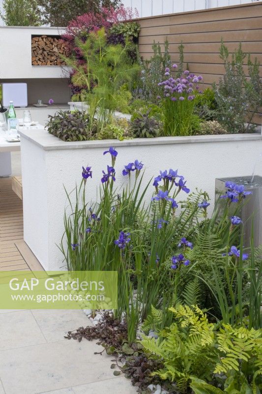 Outdoor living area with raised bed with herb garden, Iris and Ferns in the foreground, in the 'Sociability' garden at BBC Gardener's World Live 2015, June