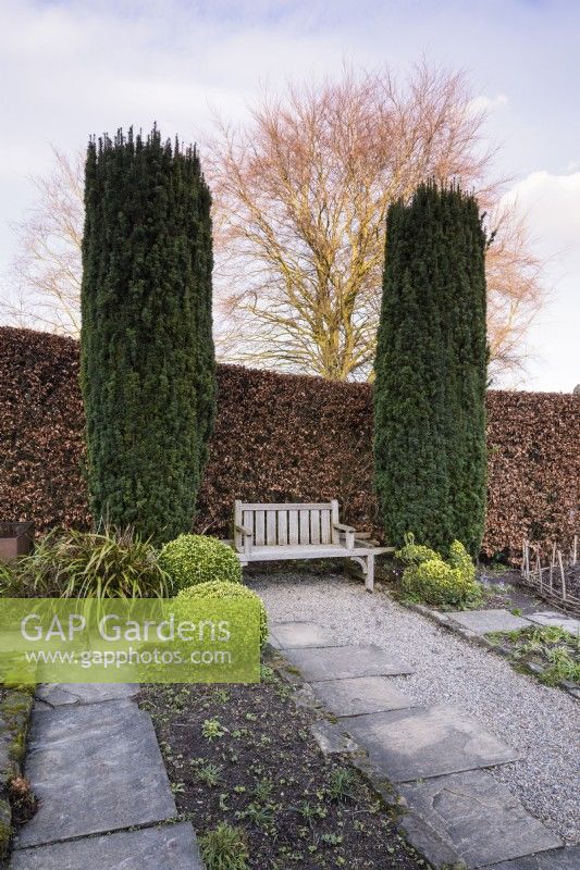 Bench framed by a pair of fastigiate yews, Taxus baccata 'Fastigiata' at York Gate Garden in February