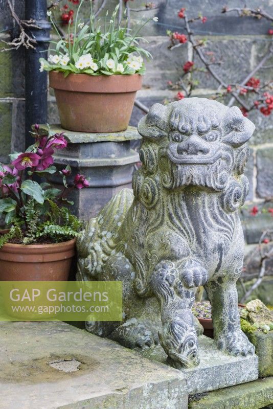 Chinese Foo Dog at York Gate Garden