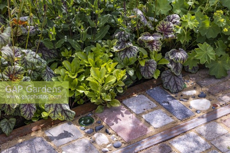 A path of reclaimed materials including tiles, bricks setts, pebbles and bottles, next to a border edging of low-growing perennials such as Heuchera and Pachysandra. Designer: Nicola Haines, Citroen Power of One at Bord Bia Bloom Dublin 2023