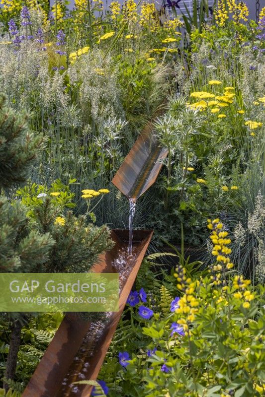 A rusty water rill surrounded by Achillea millefolium 'Moonshine', Festuca glauca 'Intense Blue' and Eryngium bourgatii 'Picos Blue'. Designer: Nicola Haines, Citroen Power of One Garden at Bord Bia Bloom 2023 