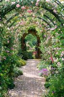 View through rose covered pergola with Rosa 'Blairi no 2', 'May Queen' and 'Gerbe rose' in May