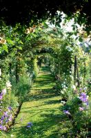 View through apple tunnel with grass path at The Dower House in Shropshire