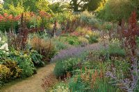 Double borders in late summer with Atriplex - Red Orache, Lavandula - Lavender, Sedum and Echinacea purpurea Parham in Sussex