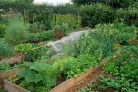 Organic vegetables grown in raised narrow beds which require no digging.
The Croft in Cheshire