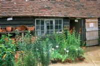 Nursery at Great Dixter in Sussex. Pots and plants for sale in yard