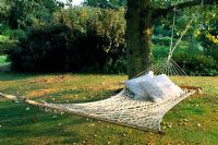 Hammock under trees at Old Place Farm in Kent