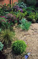 Dry gravel garden with Box, Iris and euphorbia at Thursley Lodge in Surrey