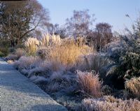 Border with grasses covered in frost in winter at Kew Garden in Surrey