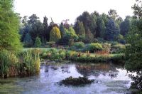 View over pond to summer garden with trees and shrubs at Foggy Bottom in Bressingham, Norfolk