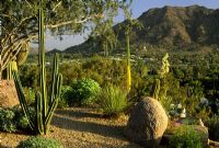 View to surrounding landscape at The Sanctuary in Phoenix Arizona USA