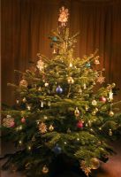 Nordman Christmas tree with lights and decorations
