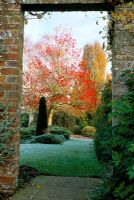 View through opening in wall to Liquidambar 'Worplesdon', Taxus topiary and Fagus 'Dawyck'in autumn at Coates Manor in Sussex.