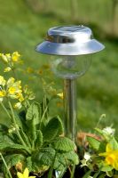 Solar powered garden light