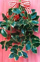 Bunch of Ilex aquifolium - Holly with tartan ribbon on painted red door
