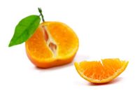 Citrus - Clementine Nules    
