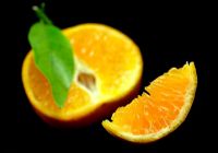 Citrus - Clementine