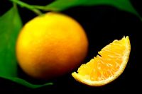 Citrus - Clementine 