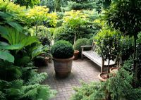Urban secret garden with potted shrubs and green foliage 