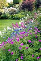 Summer border with hardy Geranium 'Ann Folkard', blue Nigella damascena and Sedums at Woolard's Ash, Hatfield Broad Oak, Essex