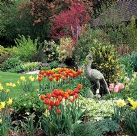 Spring garden with Peacock stone sculpture and Tulipa 'High Society' in border at The Copice in Surrey