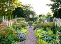 View along double borders lined with Alchemilla Mollis, Salvia, Verbascum chaixii 'Album' and Alstroemeria leading to an Ornate pot of Felicia amelloides at Cothay Manor, Somerset