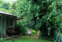 Deckchairs under tree by garden house