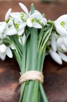 Small bunch of Galanthus nivalis - Snowdrops tied with rafia 