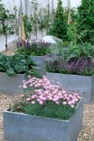 Vegetables and herbs in galvanised containers in kitchen garden at Chelsea FS -  The Chefs Roof Garden