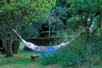 Striped Hammock with cushions hanging from old fruit trees at Rose Cottage