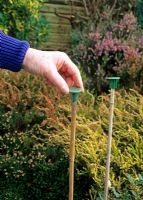 Putting safety caps on garden canes   