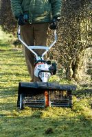 Man removing moss and thatch from the grass with a petrol powered scarifyer by hawthorn hedge in March