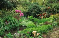 Shady woodland edge pond, bog garden  and stream at Cobblers, Sussex