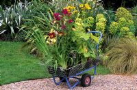 Trolley laden with plants at garden centre