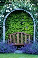 Wooden arbor with Humulus lupulus, Nepeta and Rosa.