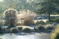 View over the frozen pond on a frosty morning in winter. Eryngium seedheads, backlit grasses and an ornamental duck. 
