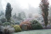A cold foggy morning by the pond in John Massey's garden. The columnar shape of Fagus sylvatica 'Dawyck' (Beech) on the right. Phormium 'Jester' with conifers and grasses