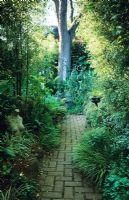 Sharon Osmond's garden. Berkeley, California. Path along shady area beside house with mirror and found objects