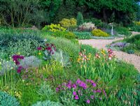 The dry Gravel Garden in Spring at Beth Chatto's Garden, Essex - Mixed planting that includes Allium hollandicum 'Purple Sensation', Allium nigrum, Irises, Papaver, Nigella, Verbascum, Yucca and Sedum