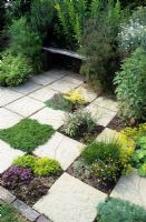 Herb garden with herbs planted in paving in a chequerboard pattern. Planting includes Thyme, Chamomile, Salvia, Santolina', Viola tricolor