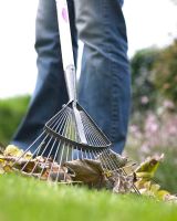 Person raking leaves from lawn