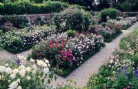 Formal walled rose garden - Mount Prosperous, Hungerford, Berkshire