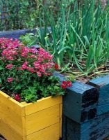 Painted wooden raised beds