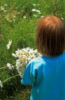 Young girl holding bunch of daisies