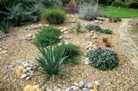 Gravel Garden with drought tolerant plants, initial planting in new garden