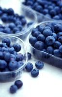 Punnets of Vaccinium myrtillus - Blueberries 