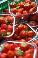 Strawberries in punnets at Farmer's Market