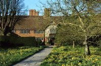 The front meadow at Great Dixter in spring with Narcissus pseudonarcissus. Paved Yorkstone path leading to house